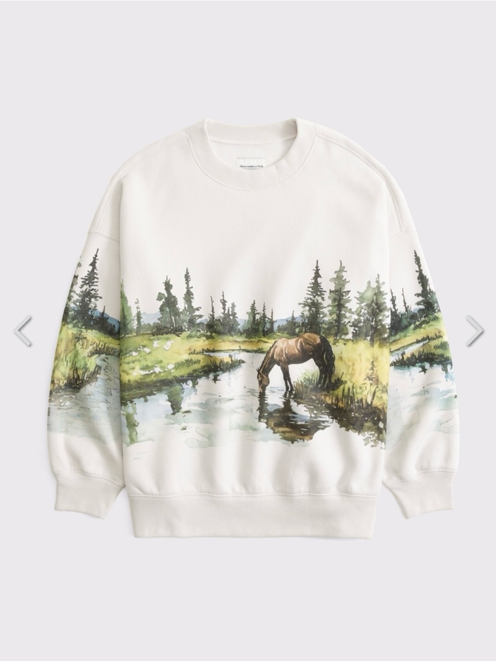 Abercrombie & Fitch Wildlife Graphic Oversized Sunday Crew